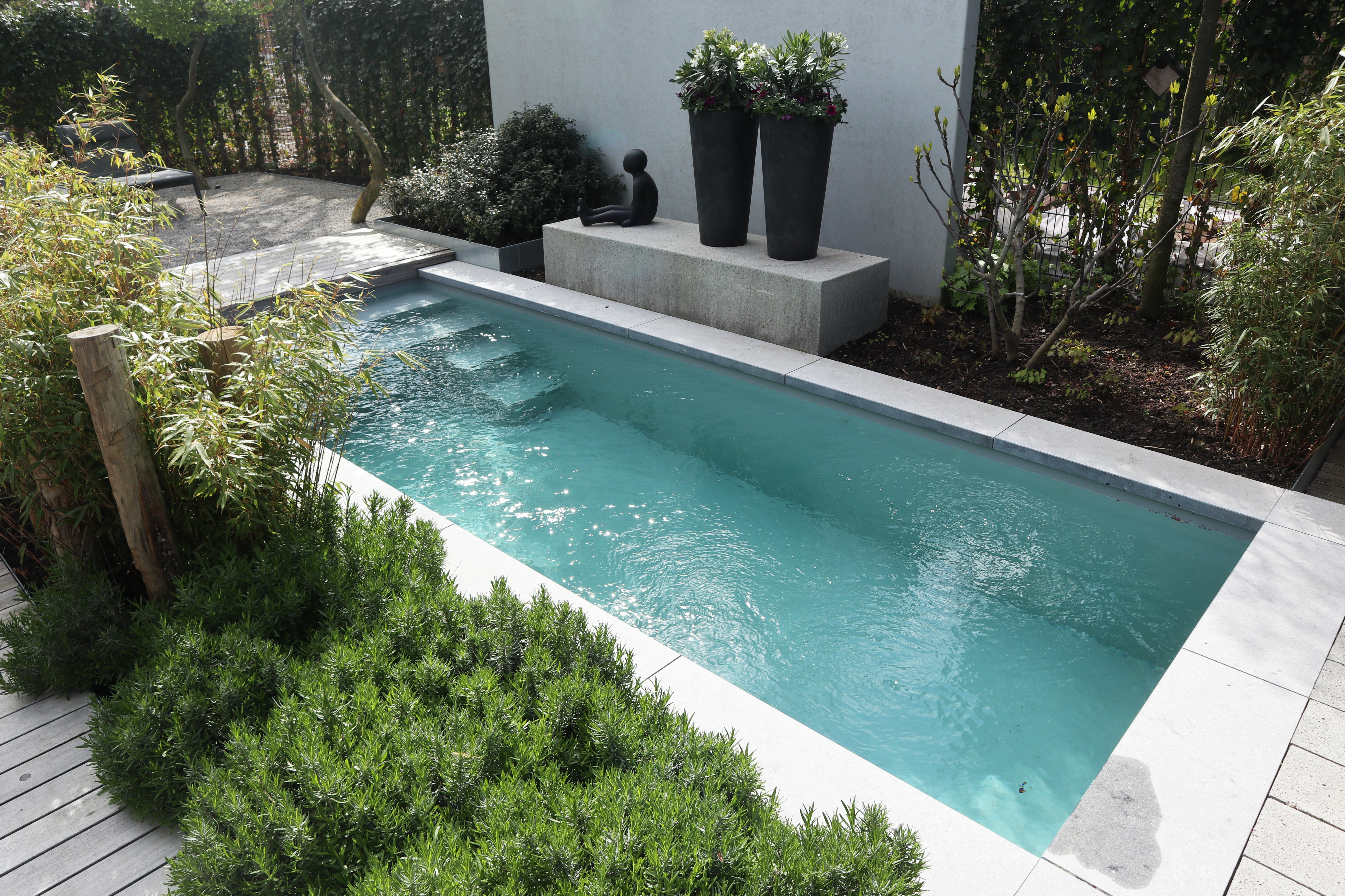 Plunge Pool